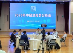 专家解读2025“经济半年报”：政策组合拳推动稳中向好、结构向优